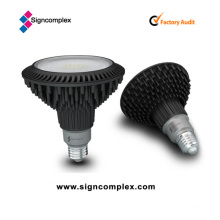 Bright Silver/Black PAR38 LED Spot Light